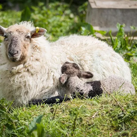 Marianne At Johnsfort بيت للعطل Raistin