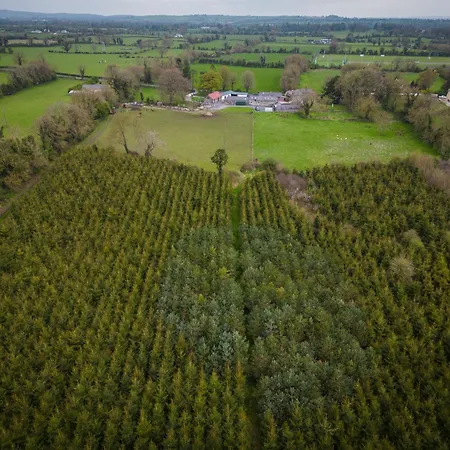 Marianne At Johnsfort