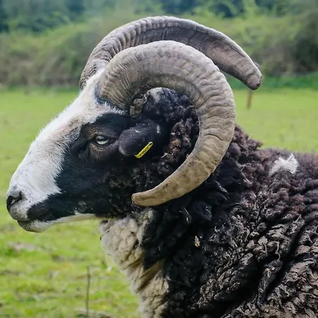 Marianne At Johnsfort Сasa de vacaciones *