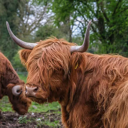 Marianne At Johnsfort Сasa de vacaciones *