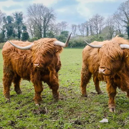 بيت للعطل Marianne At Johnsfort Raistin