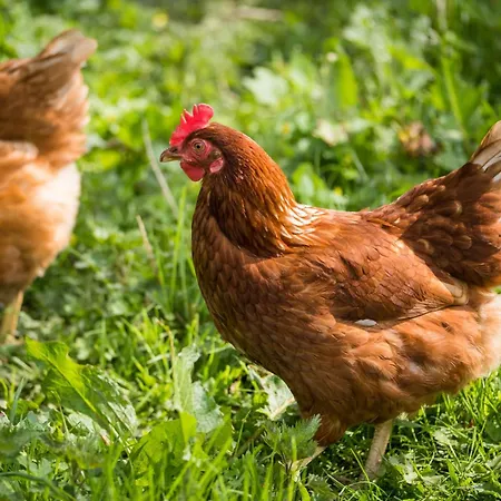 Marianne At Johnsfort Сasa de vacaciones Raistin