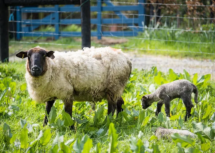 Marianne At Johnsfort Raistin