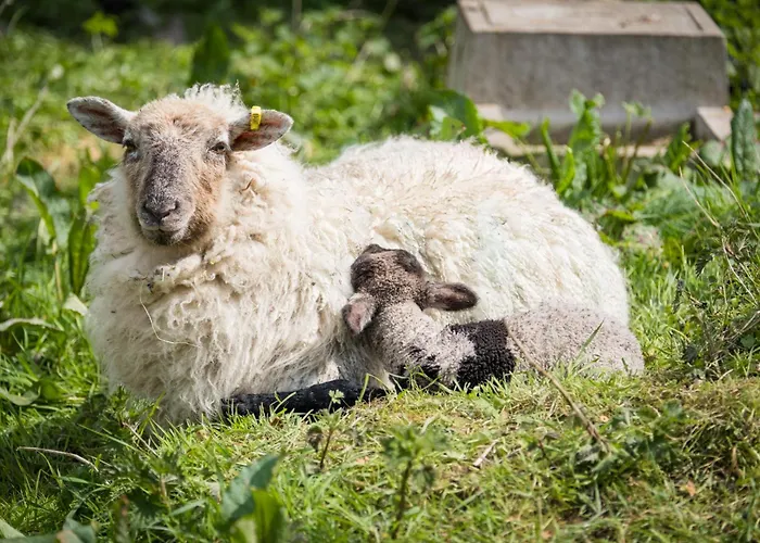 Marianne At Johnsfort Ferienhaus Raistin