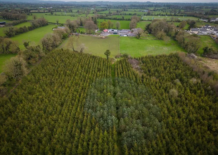 Marianne At Johnsfort