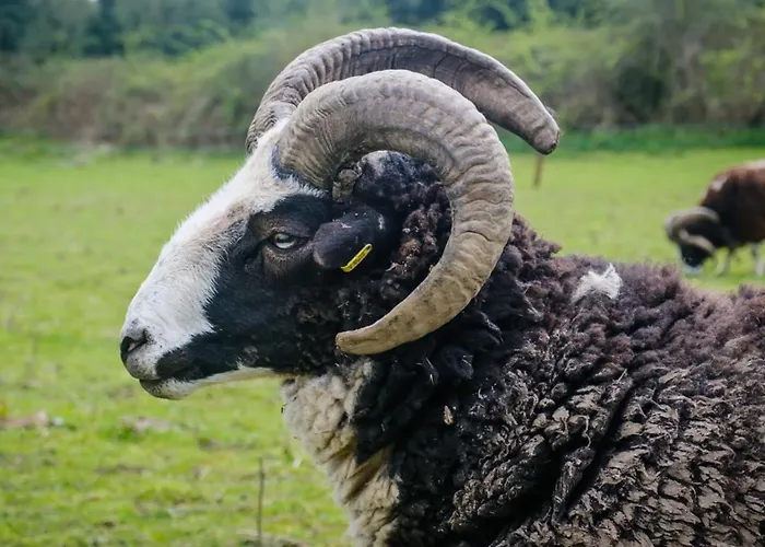 Marianne At Johnsfort Casa vacanze *