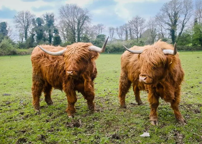 Ferienhaus Marianne At Johnsfort Raistin